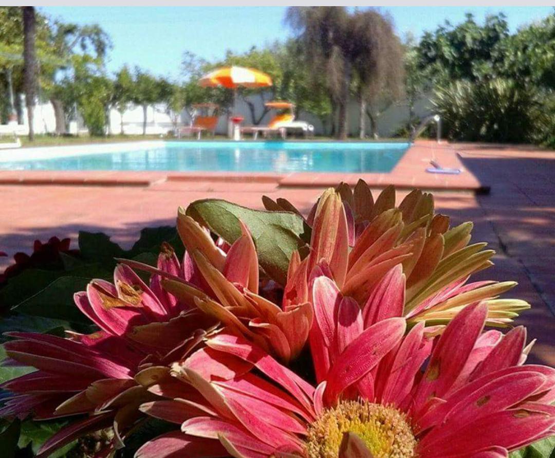 Borgo Fiore Country House Salice Salentino Dış mekan fotoğraf