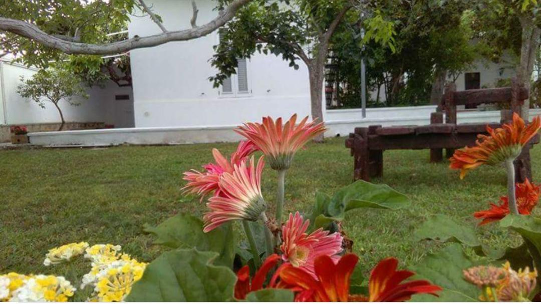Borgo Fiore Country House Salice Salentino Dış mekan fotoğraf