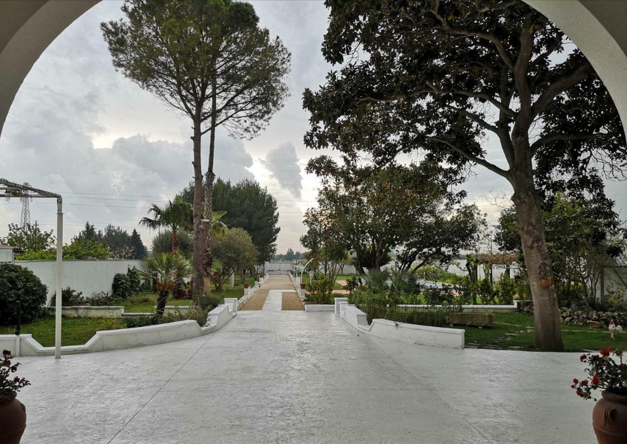 Borgo Fiore Country House Salice Salentino Dış mekan fotoğraf